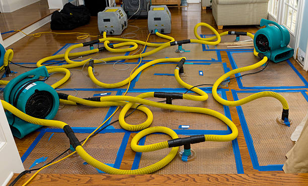 Professional Sewage Cleanup technician working in Macatawa, MI
